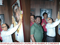 payapullaaudio